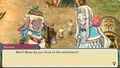 Rune Factory 3 Special | Occasion thumb 5