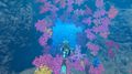 Endless Ocean Luminous | Occasion thumb 3