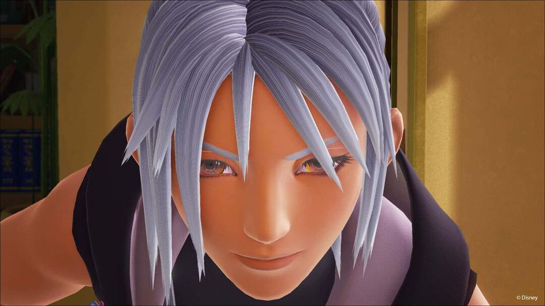 Kingdom Hearts 3 | Occasion