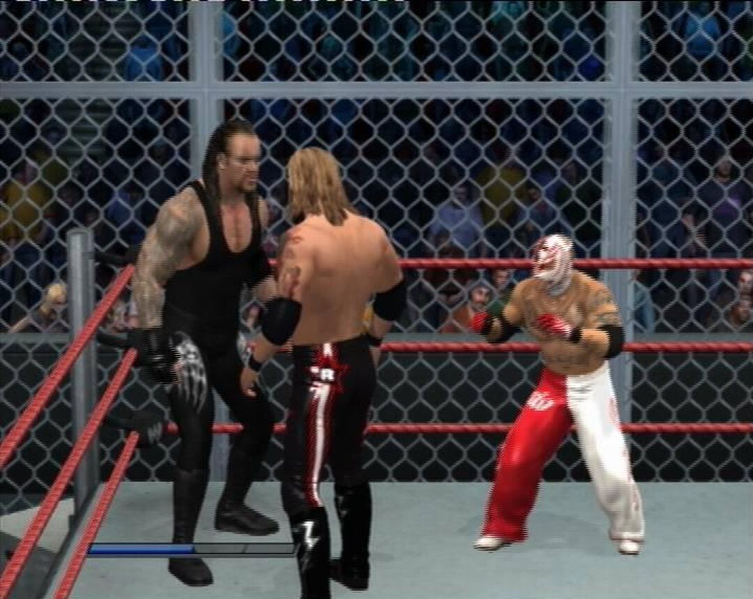 Wwe Smackdown Vs Raw 2011 | Occasion
