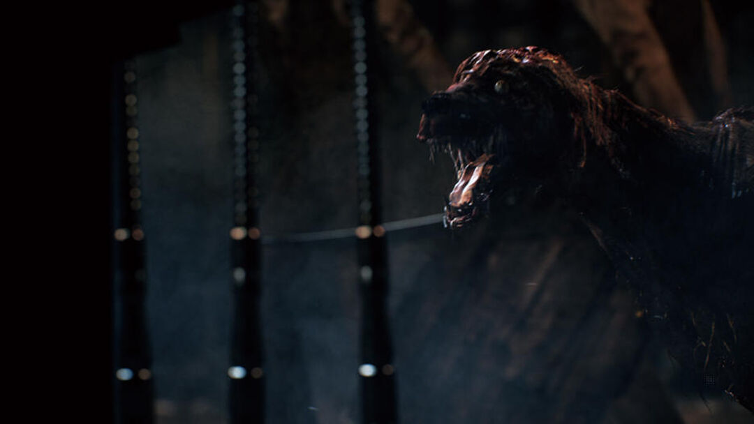 Bloodborne | Occasion