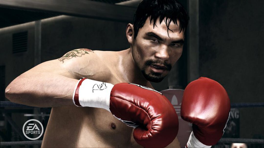Fight Night Champion | Occasion