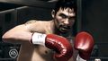 Fight Night Champion | Occasion thumb 10