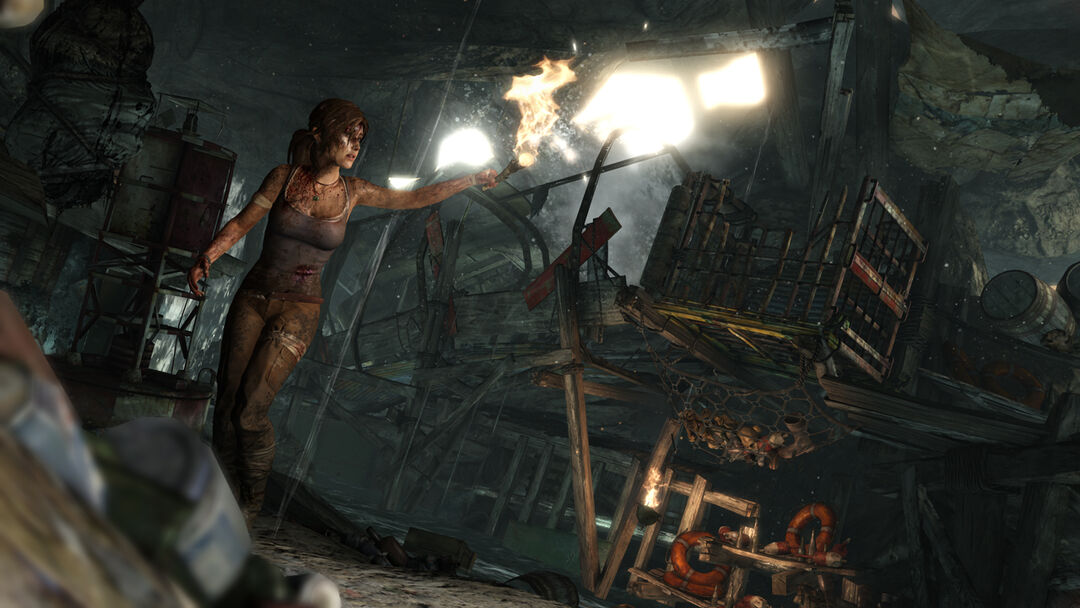 Tomb Raider | Occasion