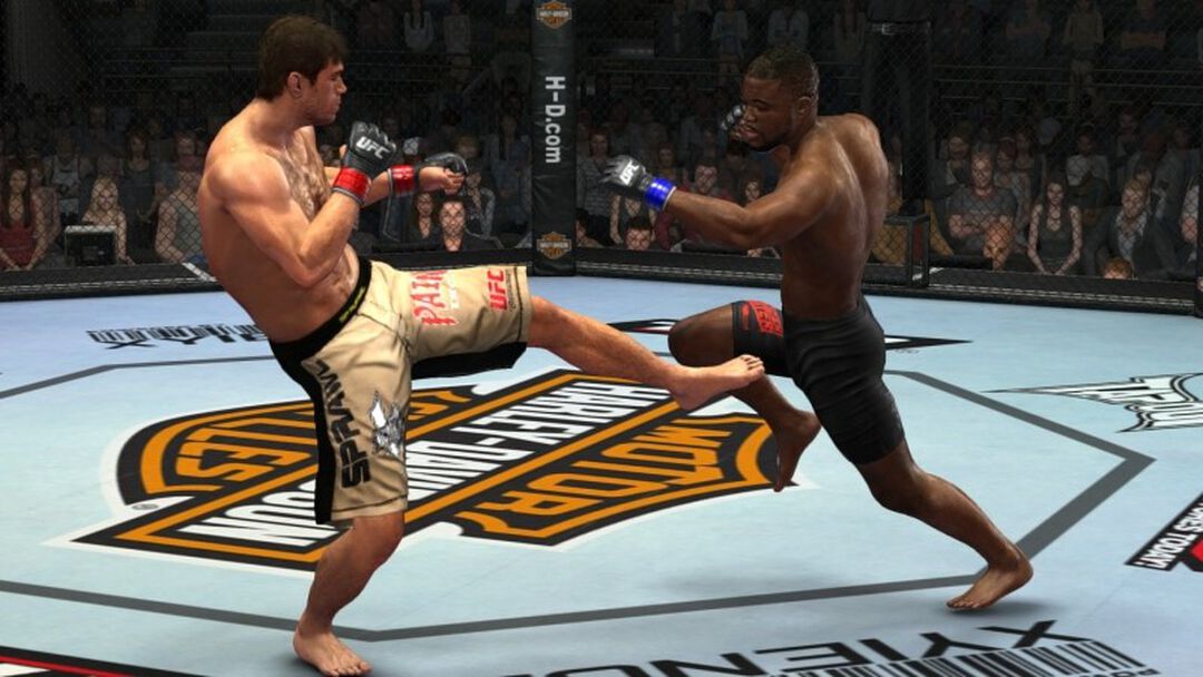 Ufc Undisputed | Occasion