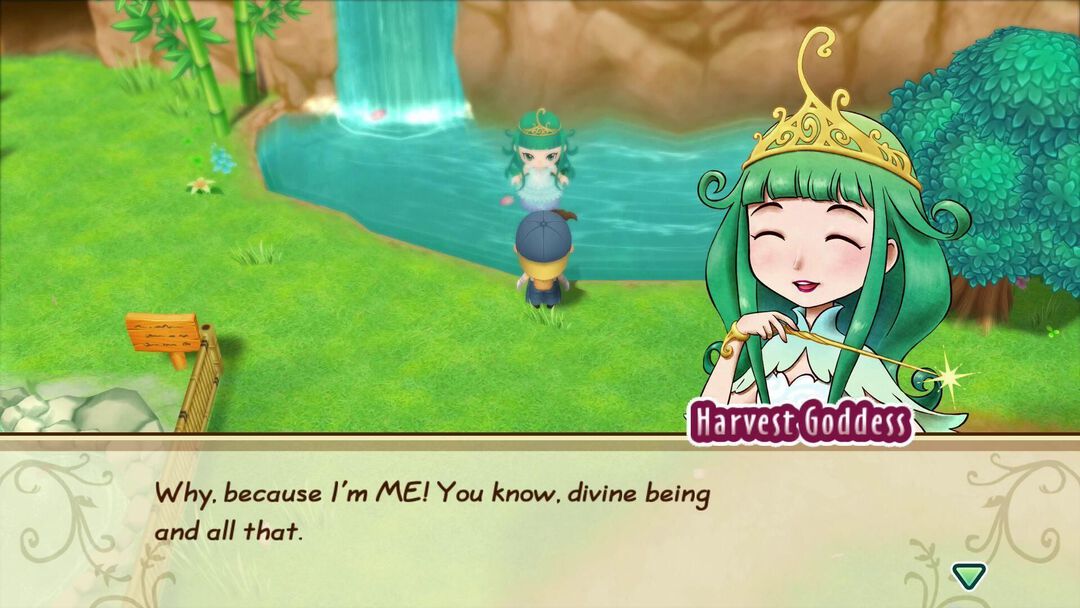Story Of Seasons Friends Of Mineral Town | Occasion