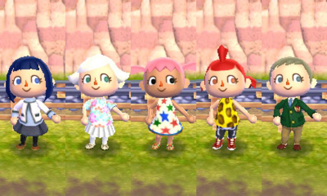 Animal Crossing New Leaf | Occasion