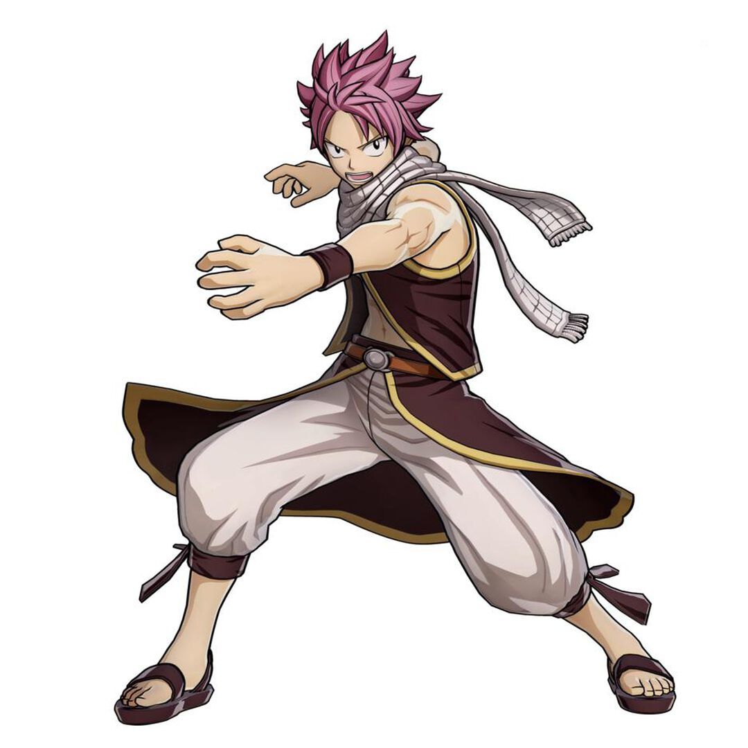 Fairy Tail | Occasion