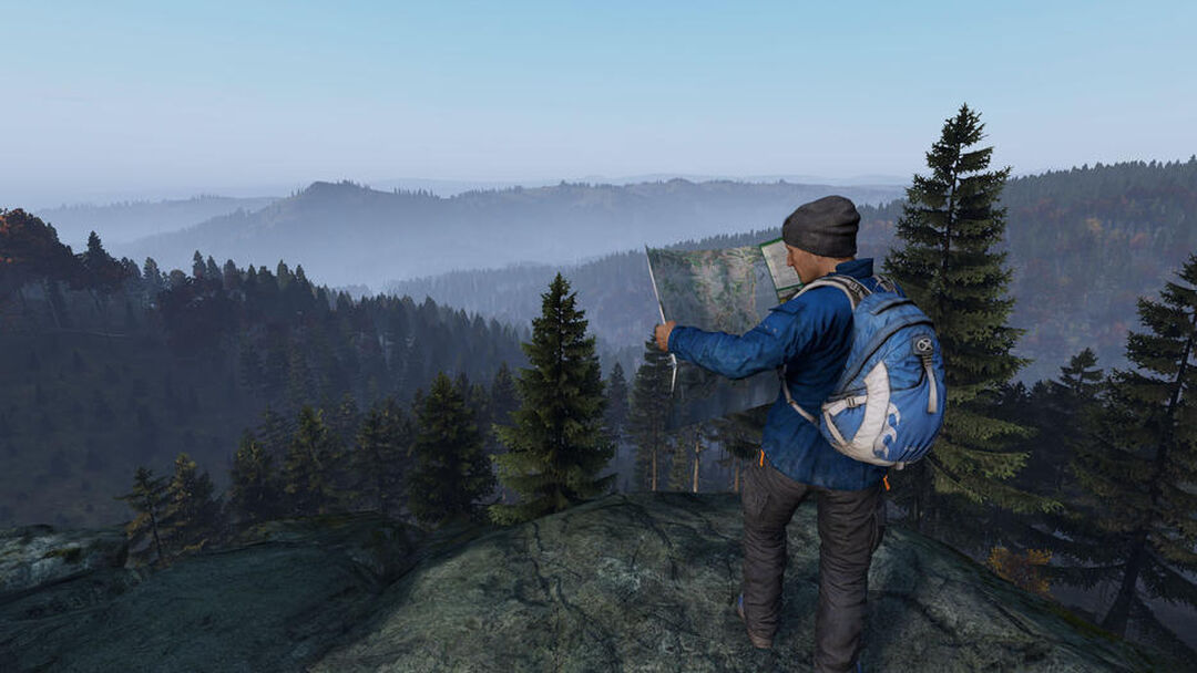 Dayz | Occasion