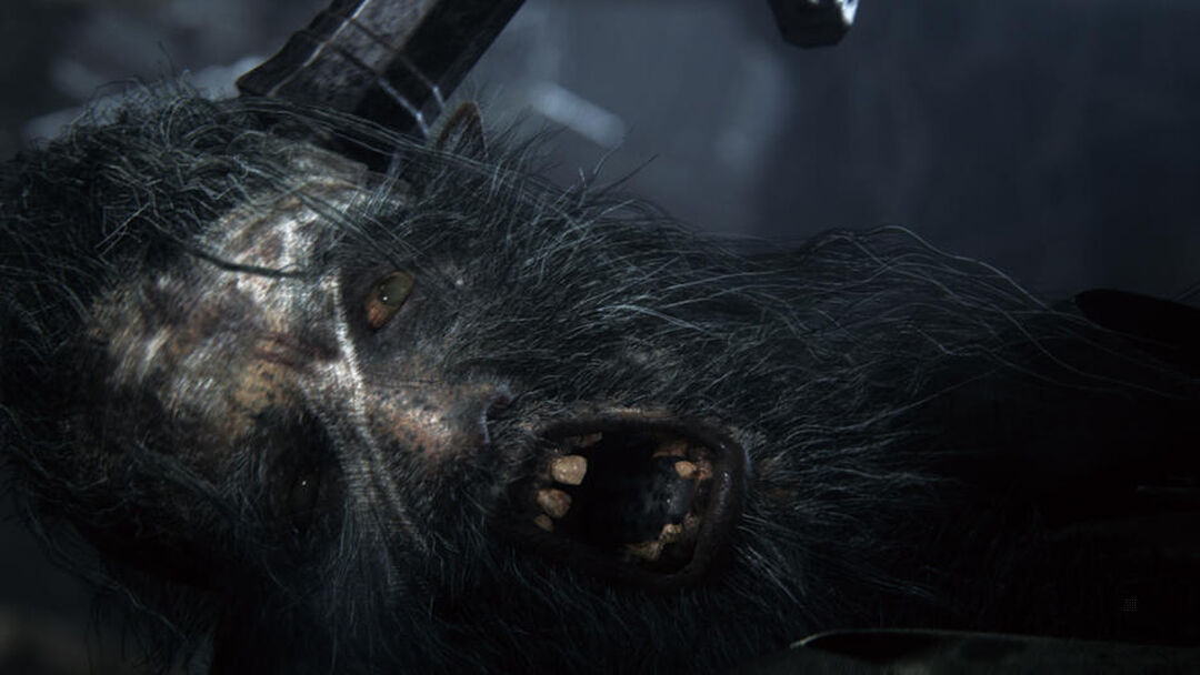 Bloodborne | Occasion