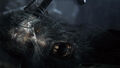 Bloodborne | Occasion thumb 30