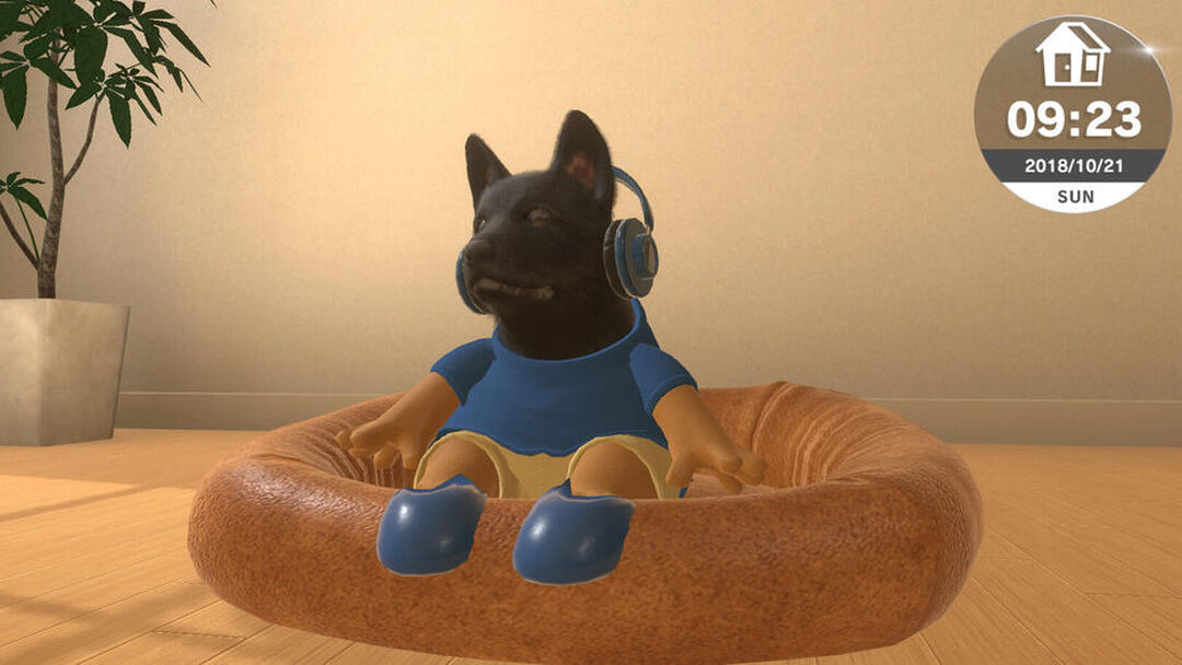 Little Friends Dogs & Cats | Occasion
