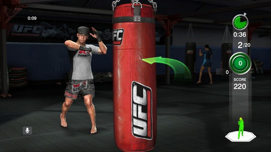 Ufc Personal Trainer | Occasion