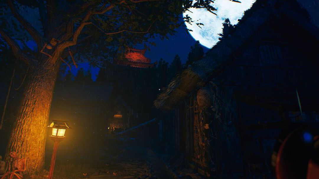 The Sinking Forest