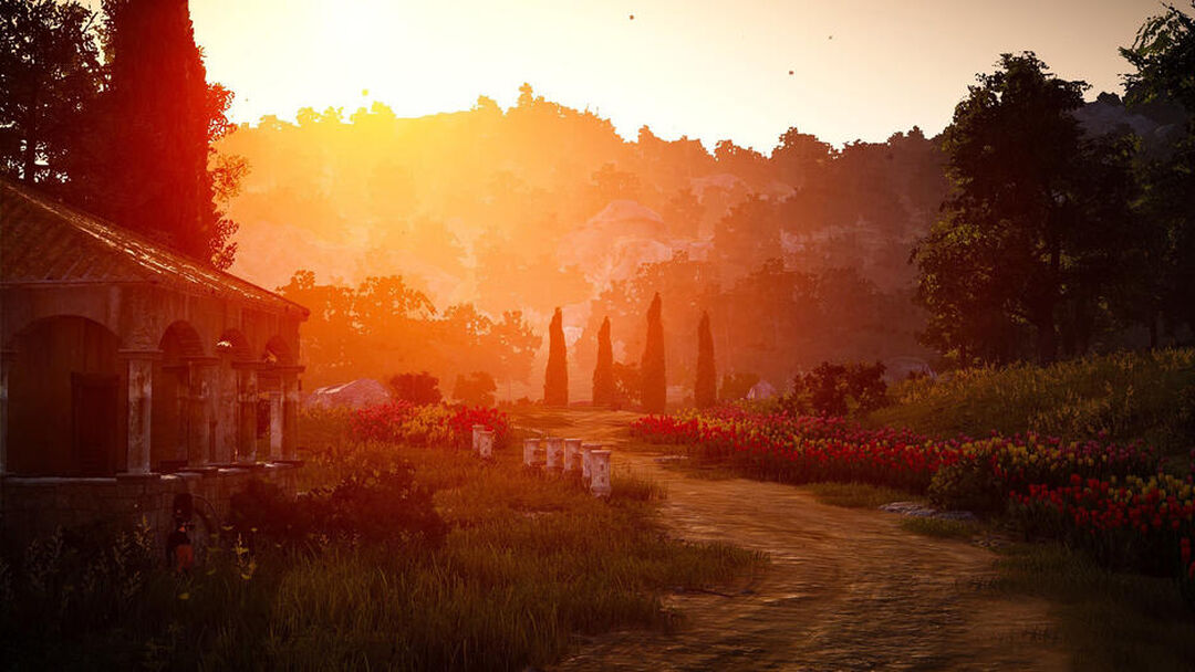 Black Desert Prestige Edition | Occasion