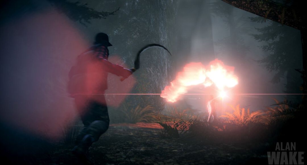 Alan Wake | Occasion