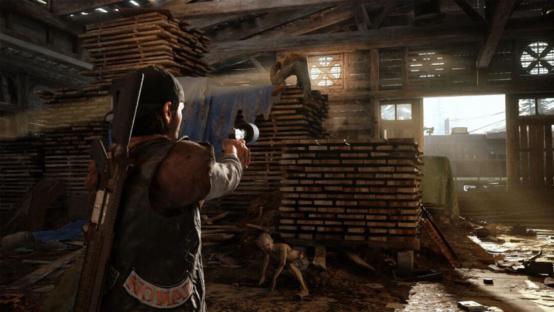 Days Gone | Occasion