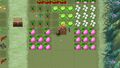 Rune Factory 3 Special | Occasion thumb 3