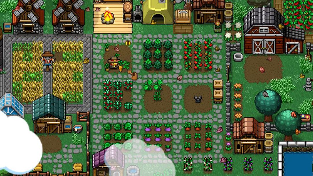 Cattle Country | Occasion
