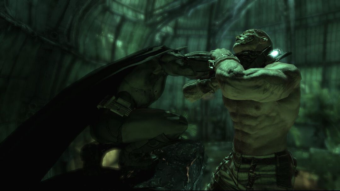 Batman Arkham Asylum | Occasion