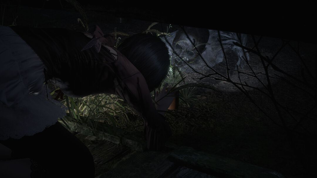 Fatal Frame II Crimson Butterfly Remake