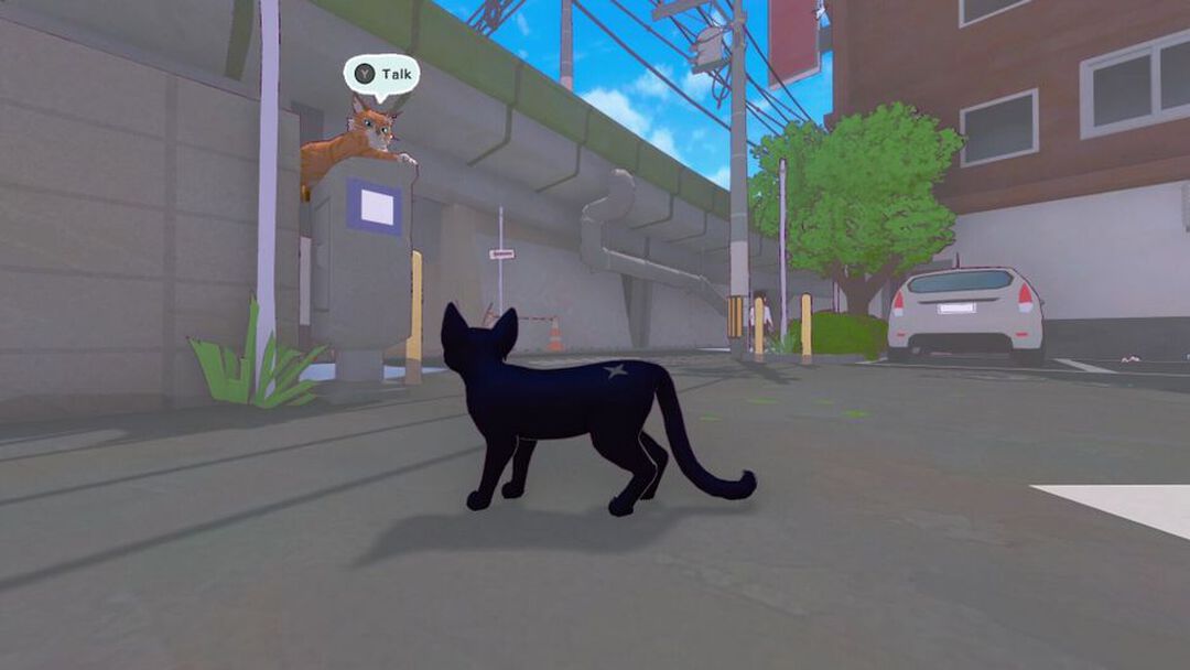 Little Kitty Big City | Occasion