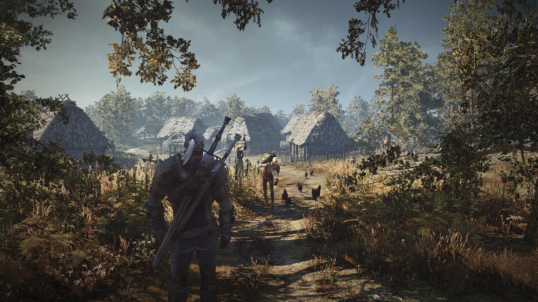 The Witcher 3 Wild Hunt