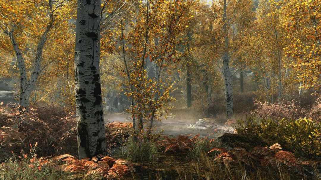 The Elder Scrolls V Skyrim | Occasion