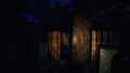 The Sinking Forest thumb 8