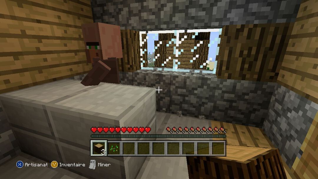 Minecraft | Occasion