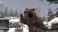Deer Hunter Reloaded | Occasion thumb 16