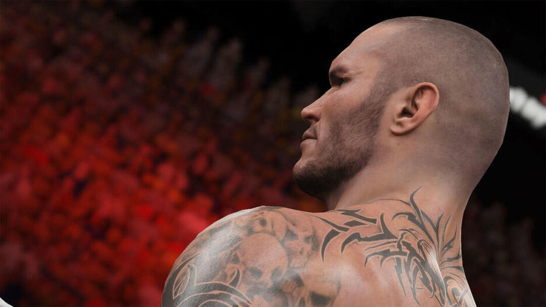 Wwe 2k15 | Occasion