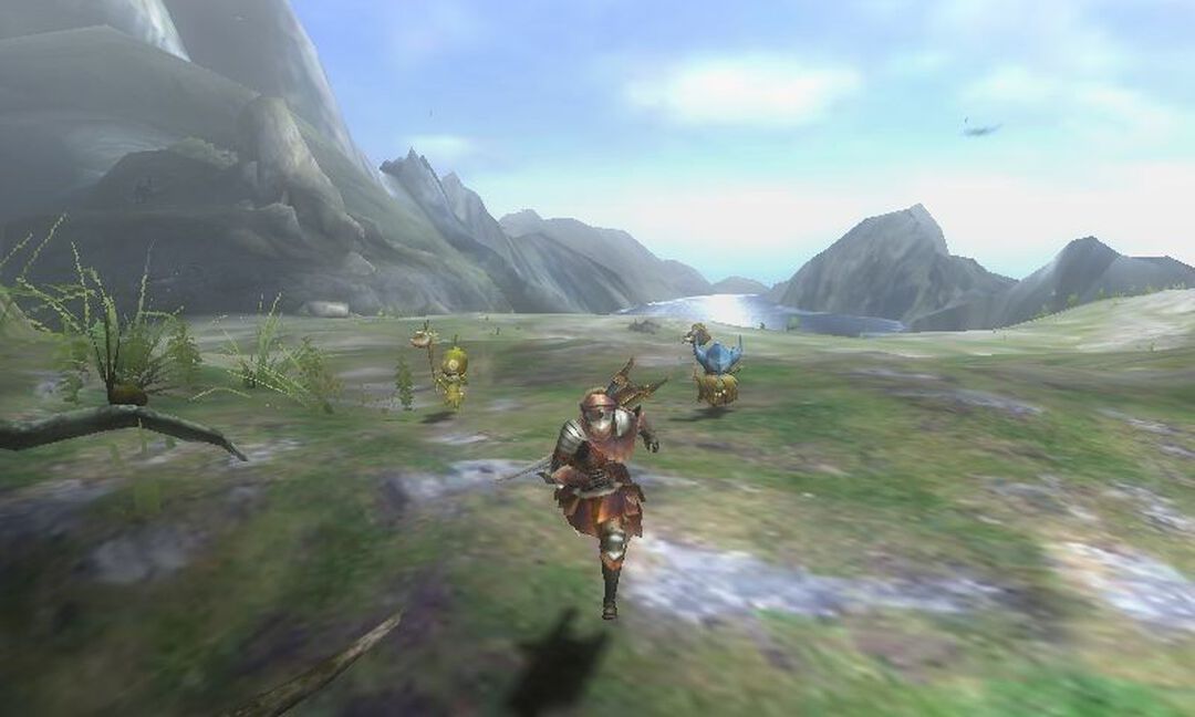 Monster Hunter 3 Ultimate | Occasion