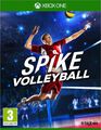 Spike Volleyball | Occasion thumb 0