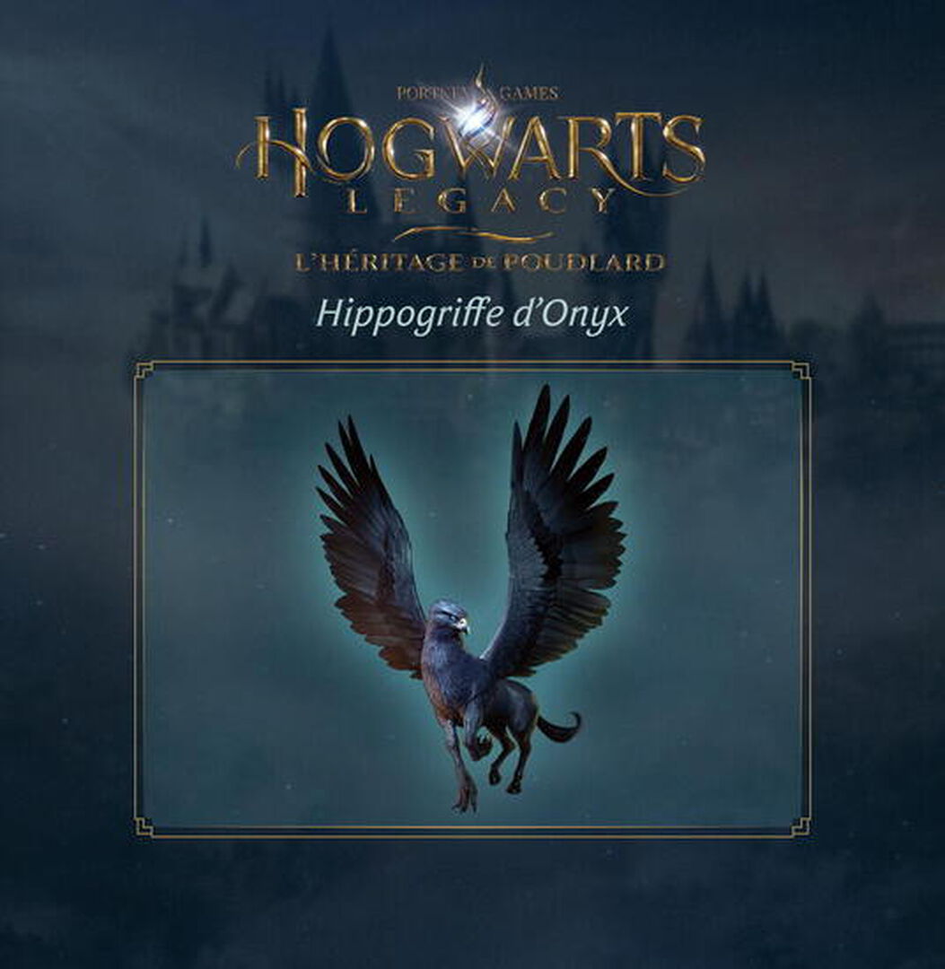 Hogwarts Legacy : L'heritage De Poudlard | Edition Collector (code De T&eacute;l&eacute;charge