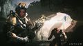 Anthem | Occasion thumb 10