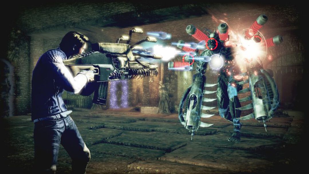 Shadows Of The Damned | Occasion
