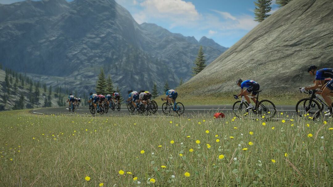 Tour De France 2024 | Occasion