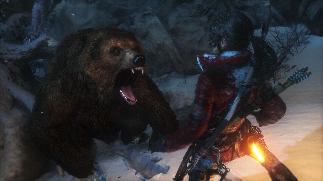 Rise Of The Tomb Raider | Occasion