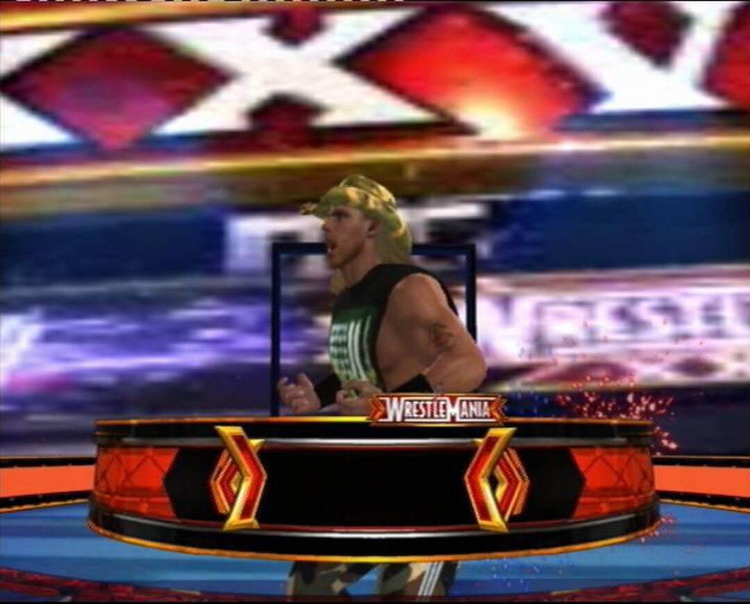 Wwe Smackdown Vs Raw 2011 | Occasion