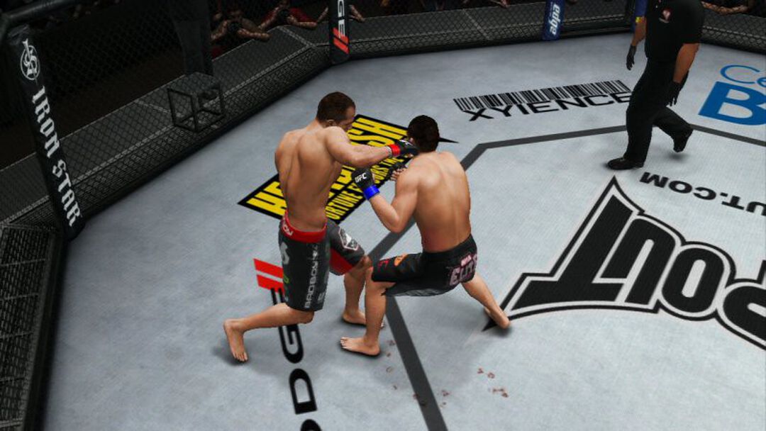 Ufc Undisputed 3 | Occasion
