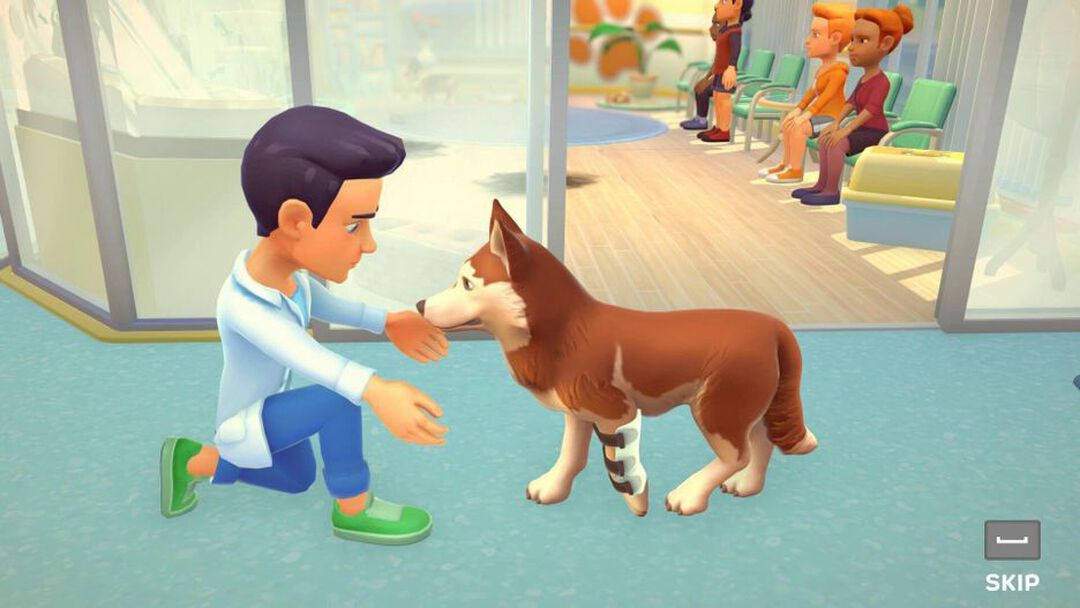 My Universe Pets Edition | Occasion
