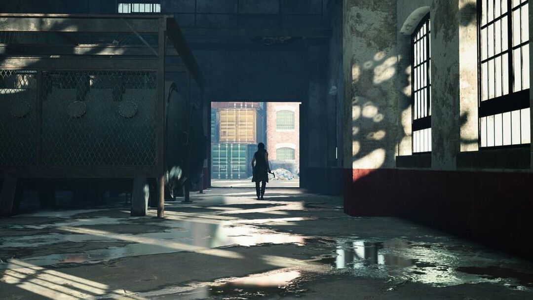 Devil May Cry 5 | Occasion