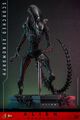 Figurine Hot Toys | Alien | Alien : Romulus Figurine 1/6 Scorched Xenomorph 44cm thumb 1