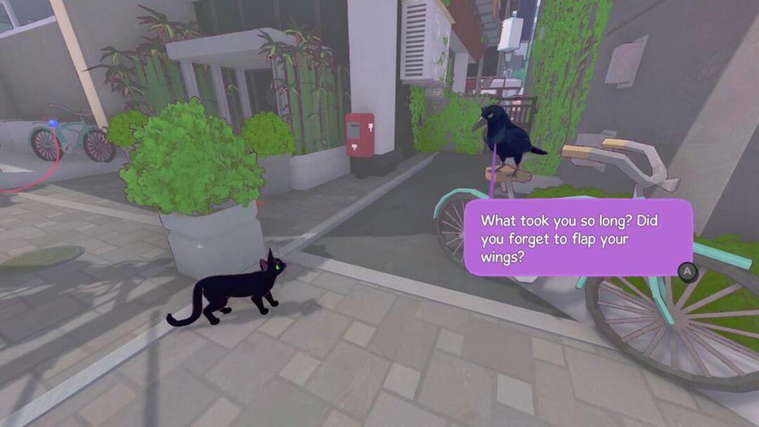 Little Kitty Big City | Occasion