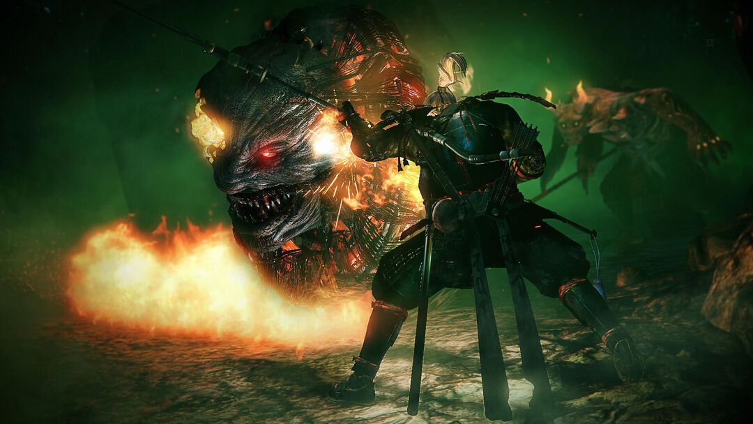 Nioh | Occasion