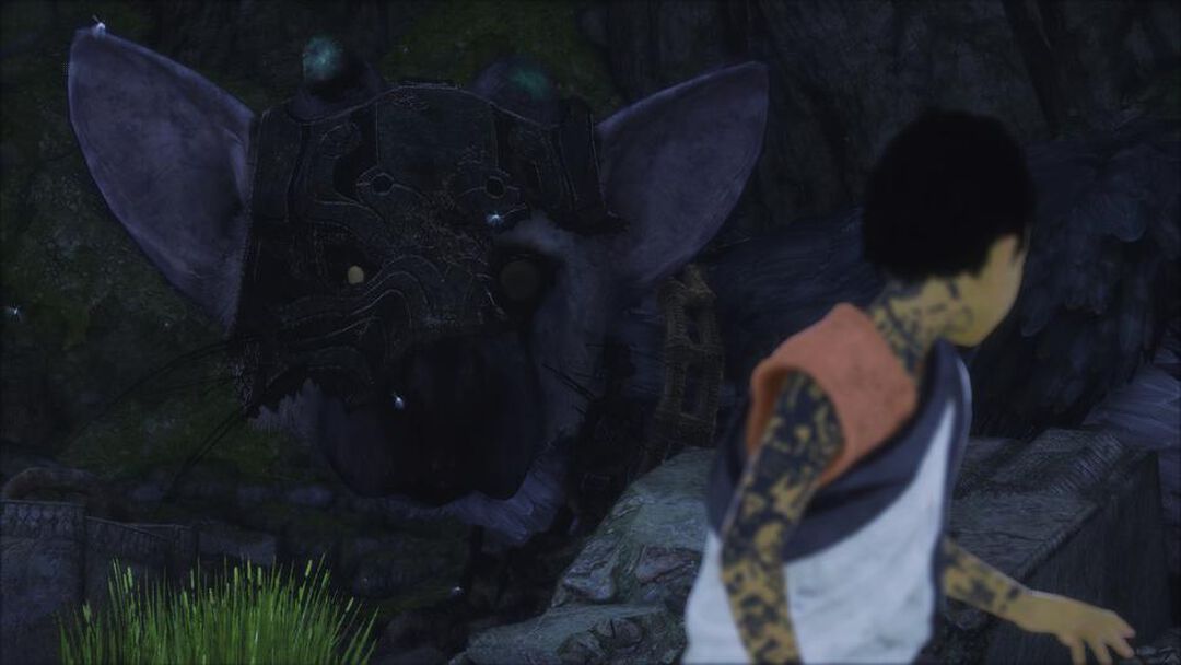 The Last Guardian | Occasion