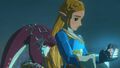Hyrule Warriors L'ere Du Fleau | Occasion thumb 22