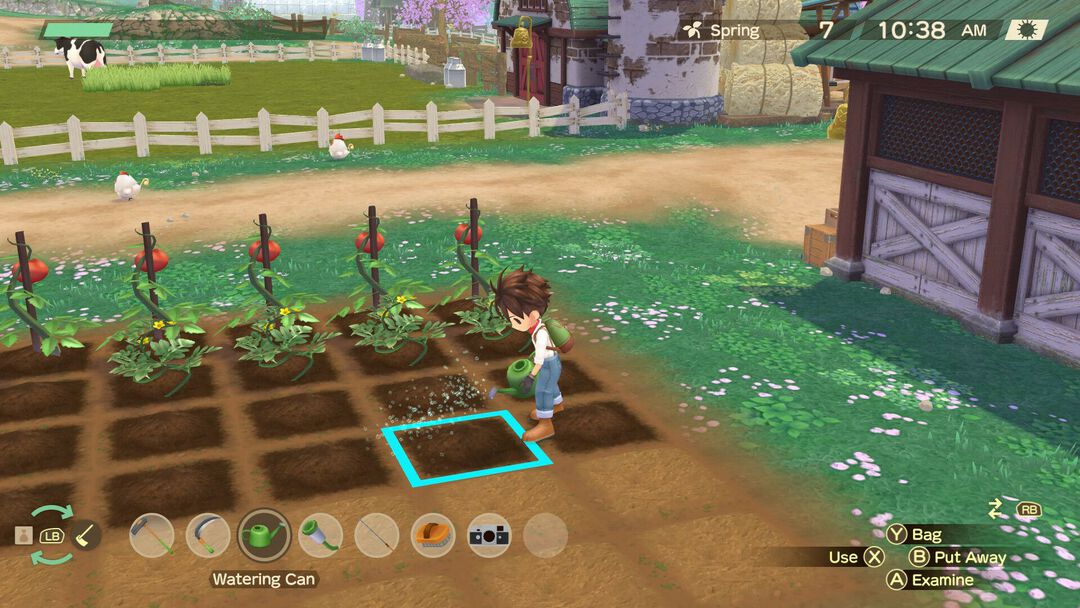 Story Of Seasons A Wonderful Life Edition Limitee