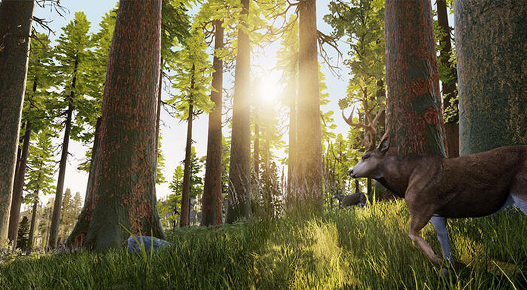 Hunting Simulator | Occasion